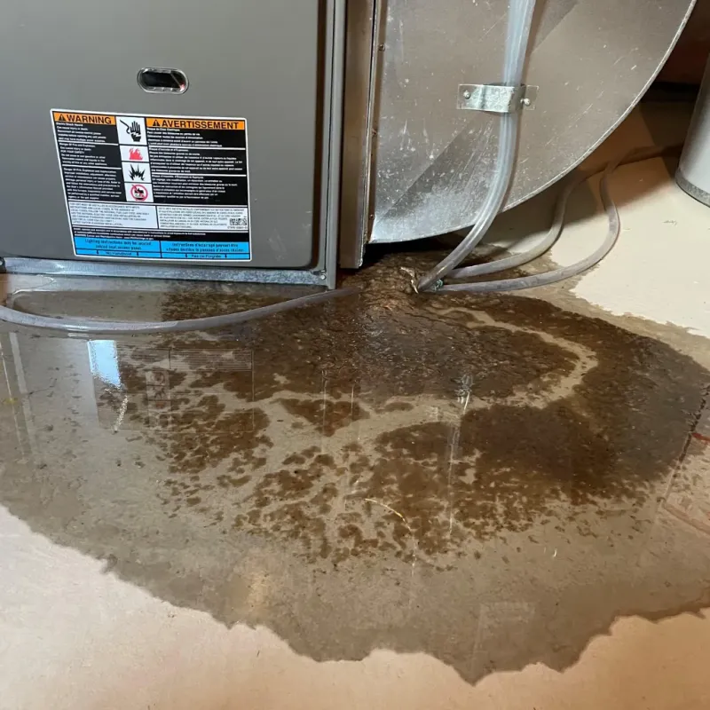 Appliance Leak Cleanup in Gates County, NC